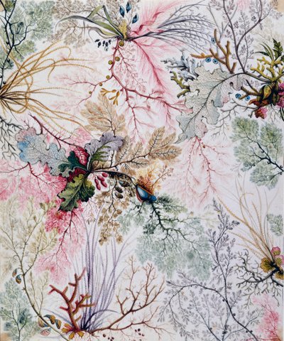 Textile Design by William Kilburn